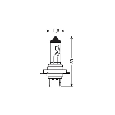 Pilot 12V Lampada alogena Blu-Xe - H7 - 100W - PX26d - 2 pz - D/Blister