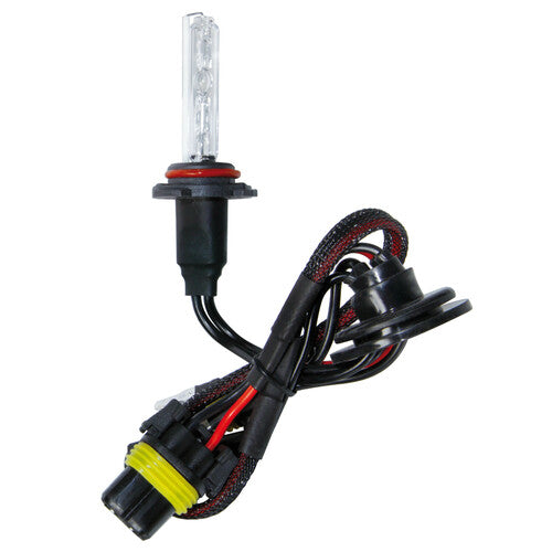 Bombilla de xenón HID Pilot 12/24 V 8000 K - H10 - 1 unidad - Caja
