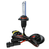 Pilot 12/24V Lampadina HID Xenon 8.000K - HB3 9005 - 1 pz - Scatola