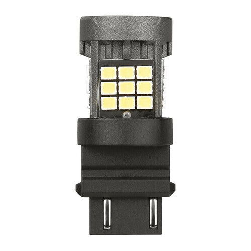Pilot 12/24V Pro-User Series - (P27/7W) - W2,5x16q - 1 pz - Scatola - Bianco - Doppia polarità - Resistenza incorporata