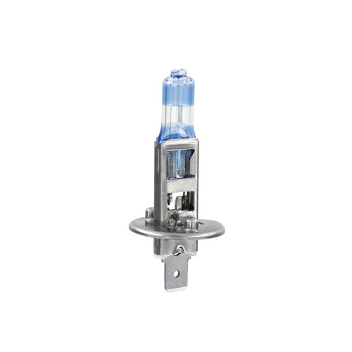 Pilot 12V Lampada alogena Xenon Top +120% luce H1 55W P14,5s 2 pz Scatola