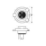 Pilot 12V Xenon-Halogenlampe, Top +120% Licht, H4 60/55W P43t, 2 Stück, Verpackung