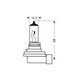 Pilot 12V Lampada alogena Xenon Ice - H11 - 55W - PGJ19-2 - 2 pz - Scatola