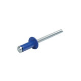 Lampa Aluminium Rivets, set 50 rivetti Graf per portatarga - Blu