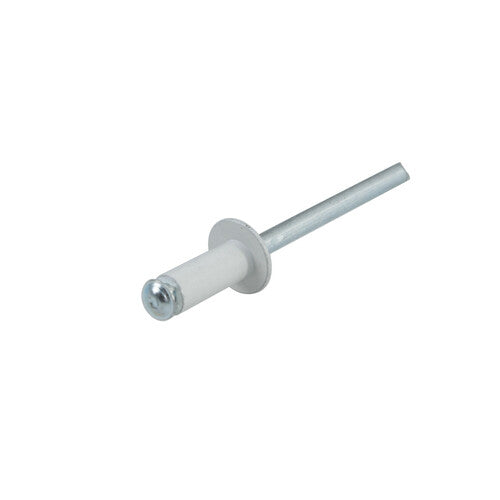 Lampa Aluminum Rivets, Set of 50 Graf License Plate Rivets - White