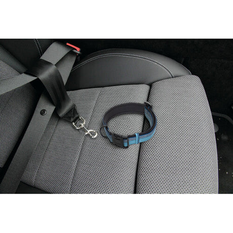 Lamp Additional safety belt for harness or collar