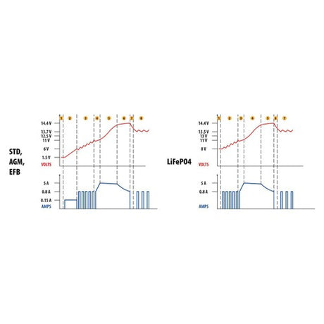 Lampa Amperomatic Pro, caricabatteria intelligente, 12V - 5A