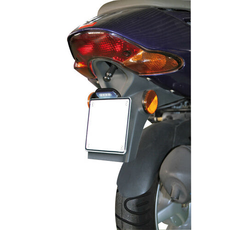 License plate light support for mopeds