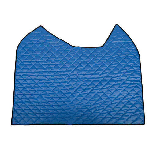 Skeentex central mat Blue Actros MP4 09/11&gt;09/19 cab. wide sed pass. fold