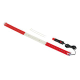 60cm Luminous Flag Lamp, 42 LEDs, 24V - Austria