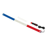 Luminous Flag Lamp 60 cm, 42 LEDs, 24V - France