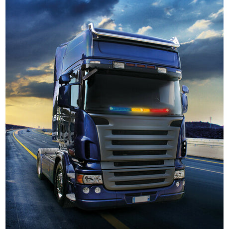 Leuchtende Flaggenlampe 90 cm, 72 LEDs, 24 V - Rumänien