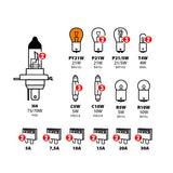 Lampenset, 30 Ersatzlampen, Halogen 2xH4 - 24V 98266