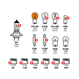 Lampenset, 30 Ersatzlampen, Halogen 2xH7 - 24V 98267