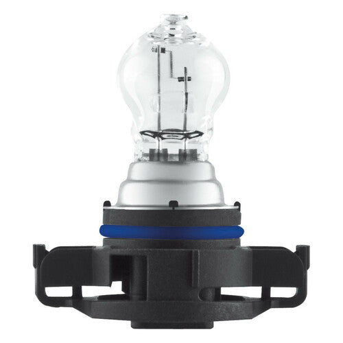 Osram Lampadina 12V Original Line - PS24W - 24W - PG20-3 - 1 pz - Scatola