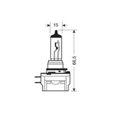 Osram Lampadina 12V Original Line - H11B - 55W - PGJY19-2 - 1 pz - Scatola