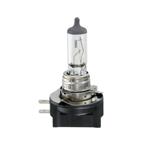 Osram Lampadina 12V Original Line - H11B - 55W - PGJY19-2 - 1 pz - Scatola