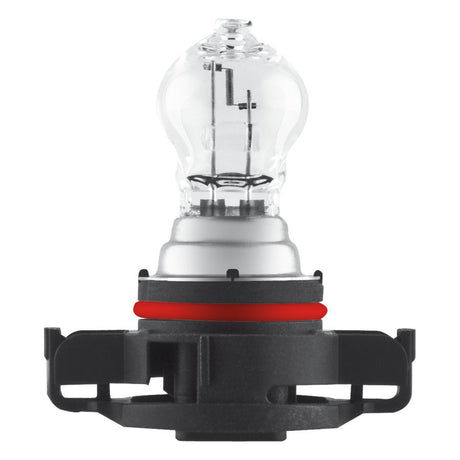 Osram Lampadina 12V Original Line - PSX24W - 24W - PG20-7 - 1 pz - Scatola