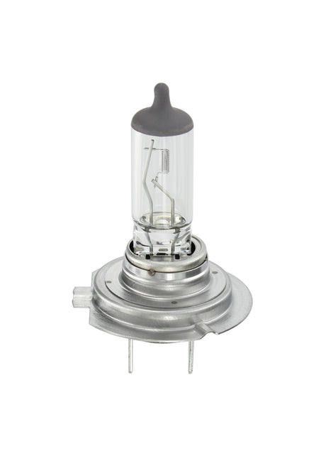 Osram 12V Original Line - H7 - 55W - PX26d - 1 pz - Scatola