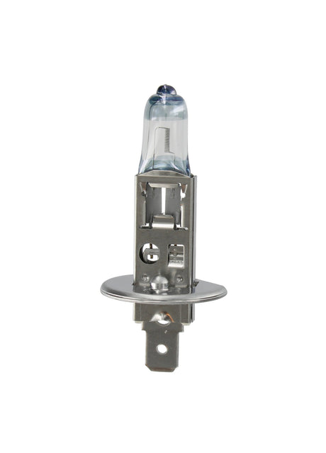 Osram Lampadina 12V Night Breaker Plus - H1 - 55W - P14,5s - 1 pz - Blister