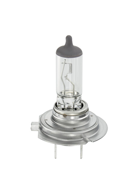 Osram Lampadina 24V Truckstar Pro - H7 - 70W - PX26d - 1 pz - Scatola