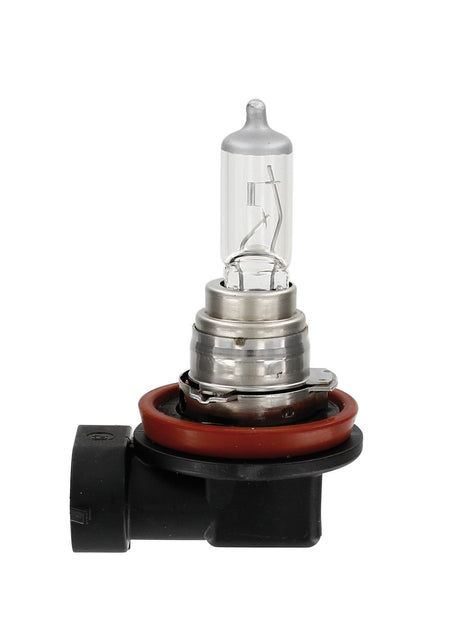 Osram Lampadina 12V Original Line - H16 - 19W - PGJ19-3 - 1 pz - Scatola