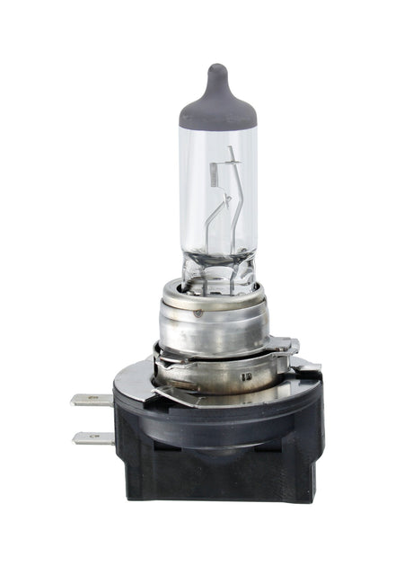 Osram Lampadina 12V Original Line - H8B - 35W - PGJY19-1 - 1 pz - Scatola