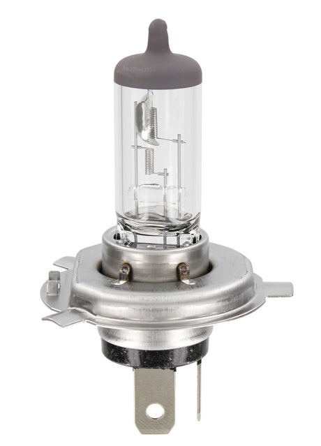 Osram Lampadina 12V Original Line - HB2 - 60/55W - P43t - 1 pz - Scatola
