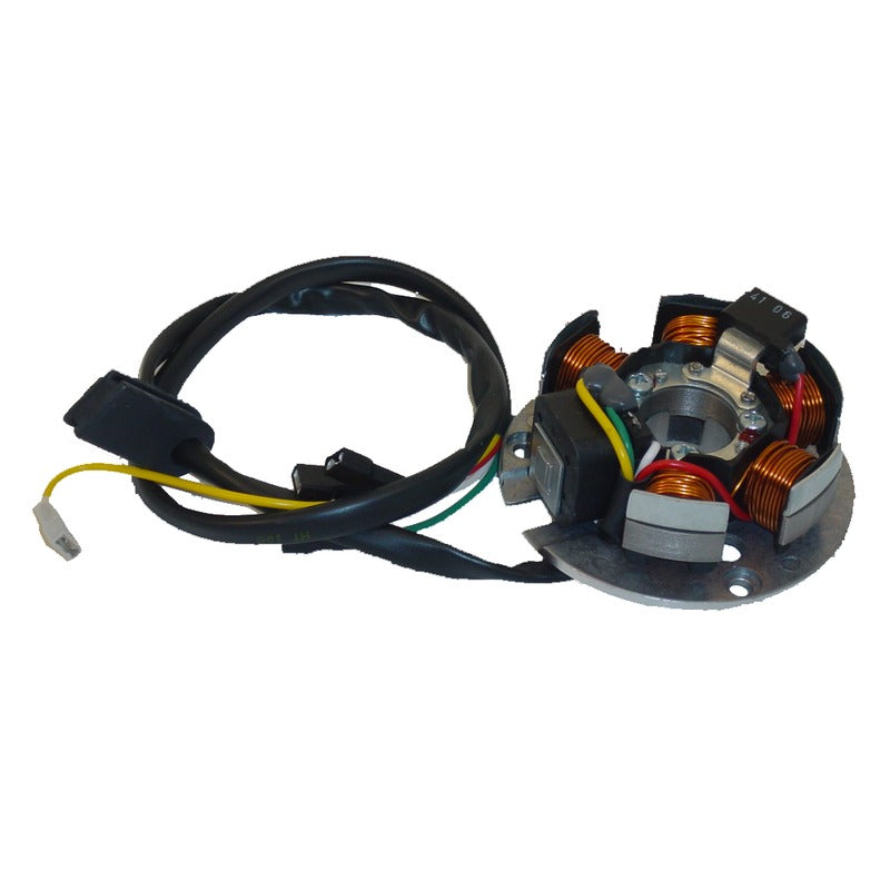 Ducati Energia Statore Motore Minarell.Am345/Am6 Aprilia Rx50-Mx50 Yamaha Dt