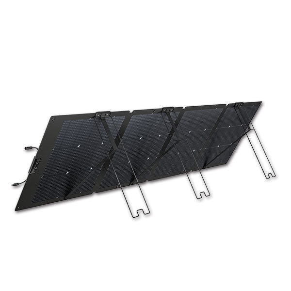EcoFlow Pannello Fotovoltaico 220 W