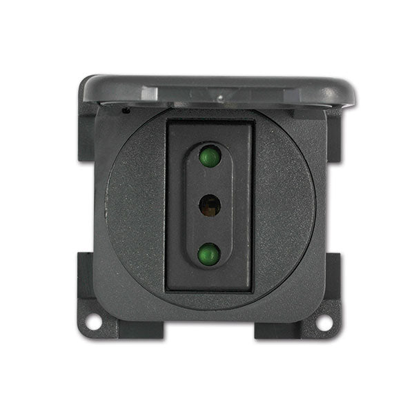 Toma CBE 230V 10A con tapa gris ch.