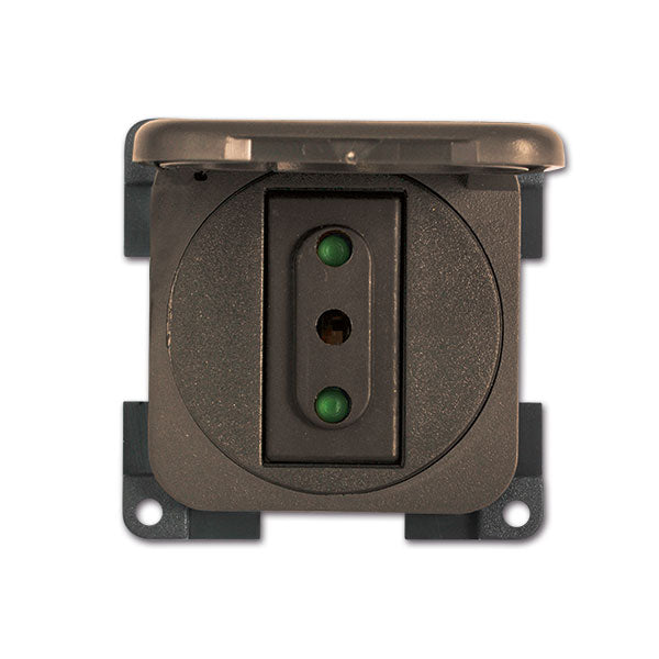 Toma CBE 230V 10A con tapa marrón