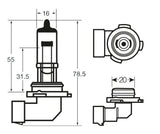 Ring Lampadina alogena 12V 53W H12