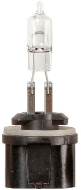Ringlichtbirne 12V 50W
