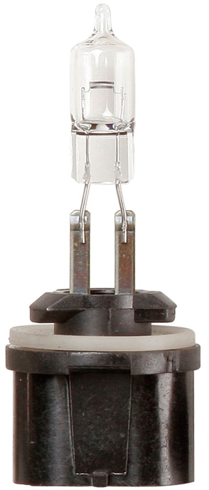 Ring Lampadina 12V 50W