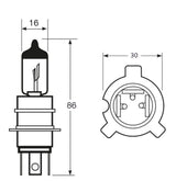 Bombilla de anillo de importación 12 V 65/65 W