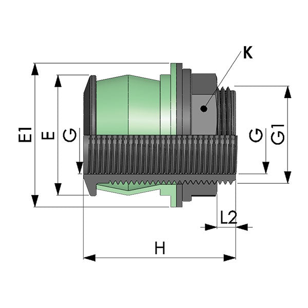 Ges Raccordo rapido innesto serbatoi 1 pollici M - 3/4 pollici F RAC50705
