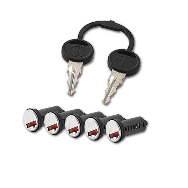 Zadi Kit 5 cylinders 2 standard keys