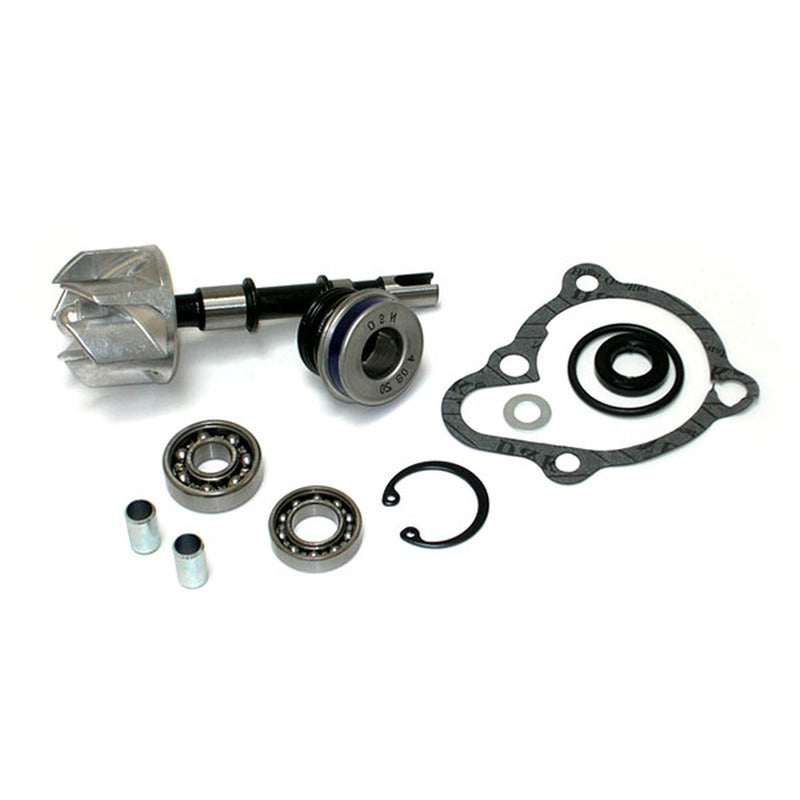 Okyami Kit Revisione Pompa Acqua Kymco dink 250 V839300709