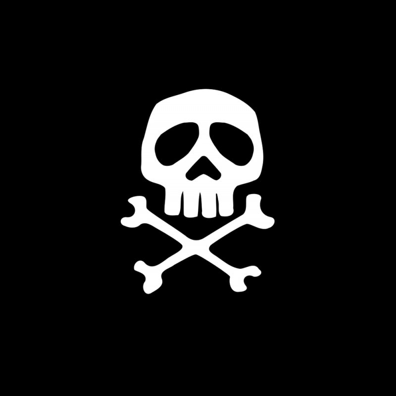 Adria Flags Piratenflagge 20x30 cm NAUTISCH