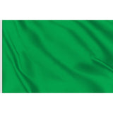 Grüne Flagge