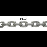FNI Catena Zincata Calibrata Diametro mm 6 - Bobina Mt 75 C03060CF