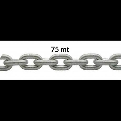 FNI Catena Zincata Calibrata Diametro mm 6 - Bobina Mt 75 C03060CF