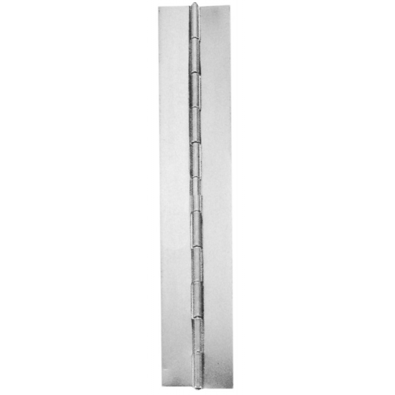 FNI Cerniera Inox a Nastro mm 30 Mt 2 CM1