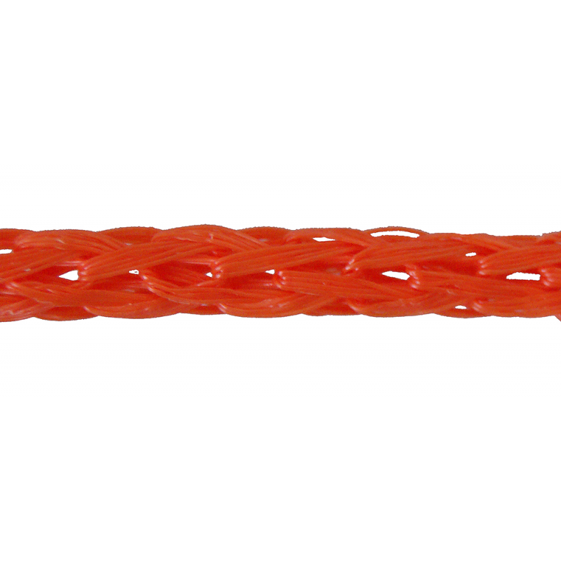 FNI Cima Per Anulare Diametro mm 6X30Mt CAN6X30