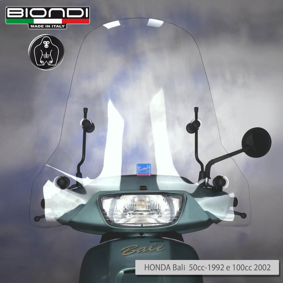 Biondi Parabrezza Club + Kit Attacchi DAELIM Camillo 50 cc. 1999