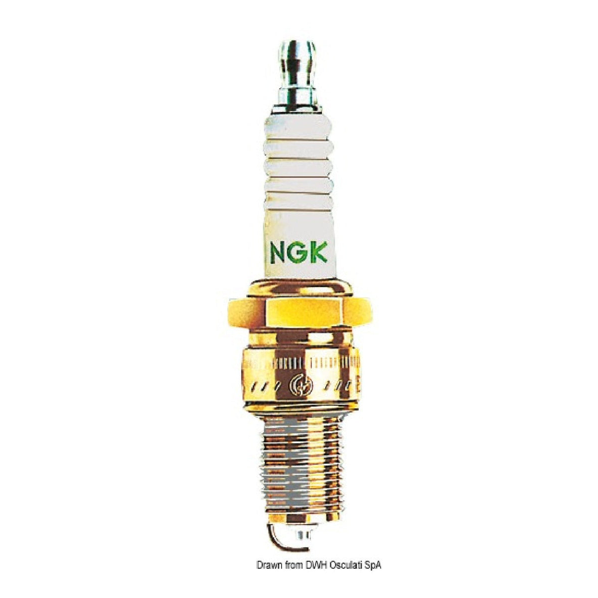 Candela NGK B6S