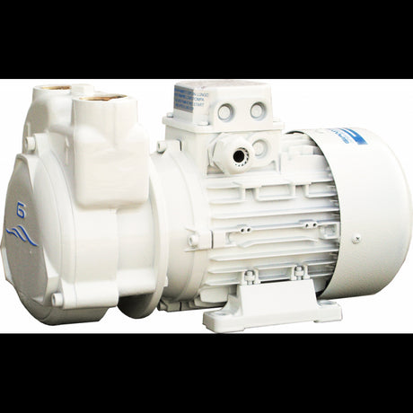 Gianneschi Electric Pump CP30 24 V