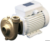 CEM Elettropompa Centrifuga Bronzo 80 lt/min 230V - B-CE 20-230M
