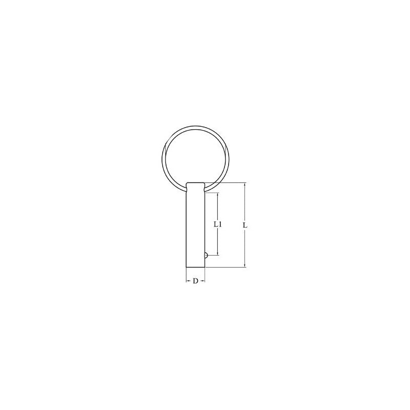 FNI Perno In Acciaio Inox Diametro mm 5X25 S0452-A0525